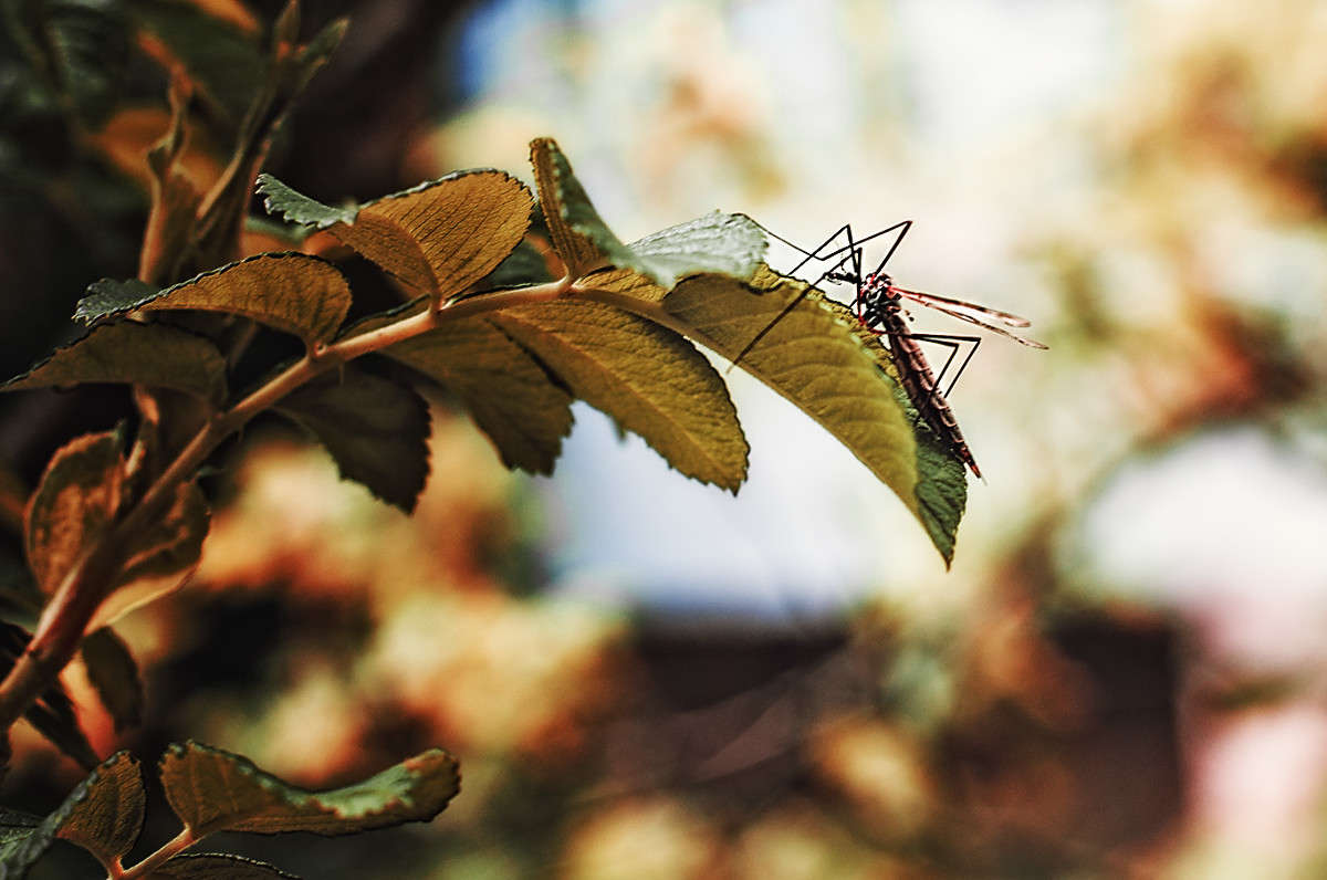 ))) ����� ������ ���������� �� PhotoGeek.ru #������ ��� ������� #���������