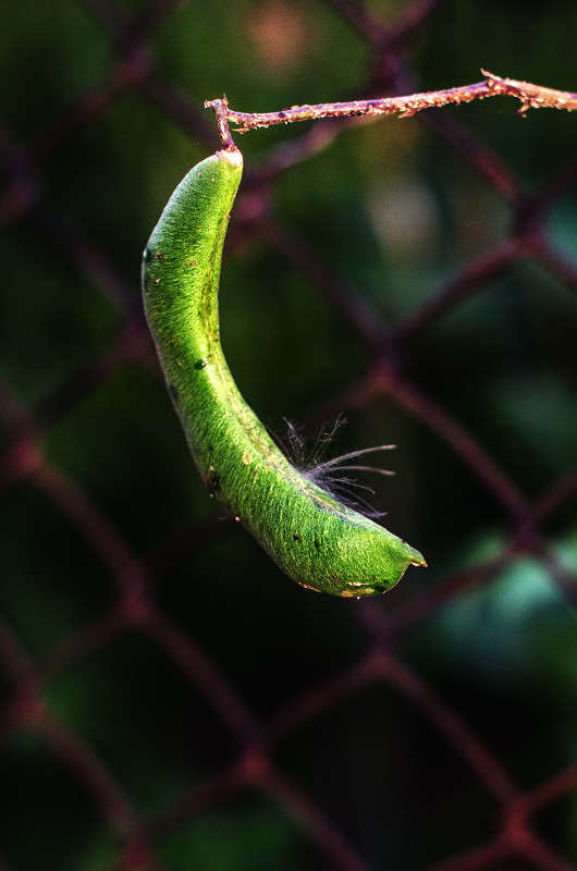 ))) ����� ������ ���������� �� PhotoGeek.ru #������ ��� ������� #���������