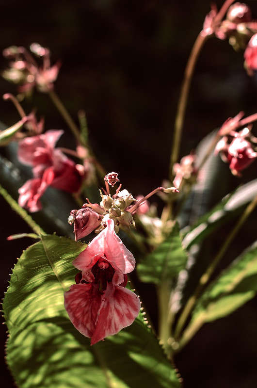 ))) ����� ������ ���������� �� PhotoGeek.ru #������ ��� ������� #���������