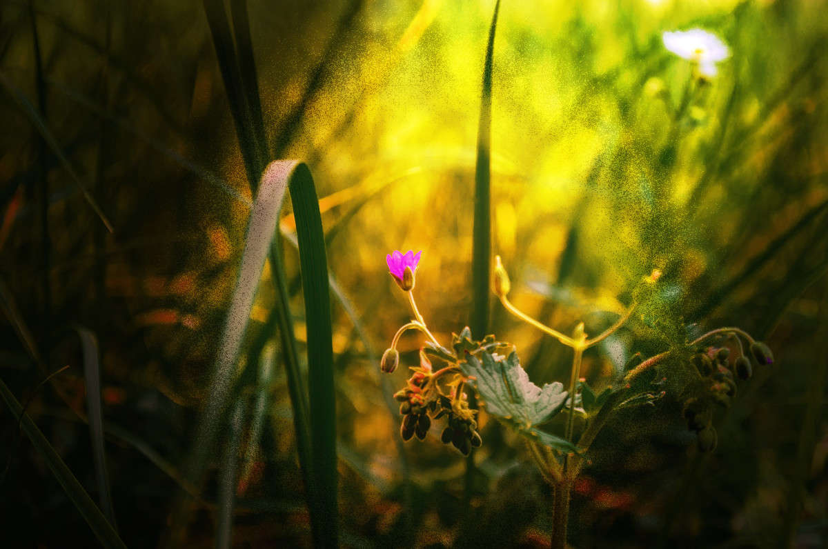 ))) ����� ������ ���������� �� PhotoGeek.ru #������ ��� ������� #���������