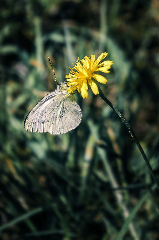 ))) ����� ������ ���������� �� PhotoGeek.ru #������ ��� ������� #���������