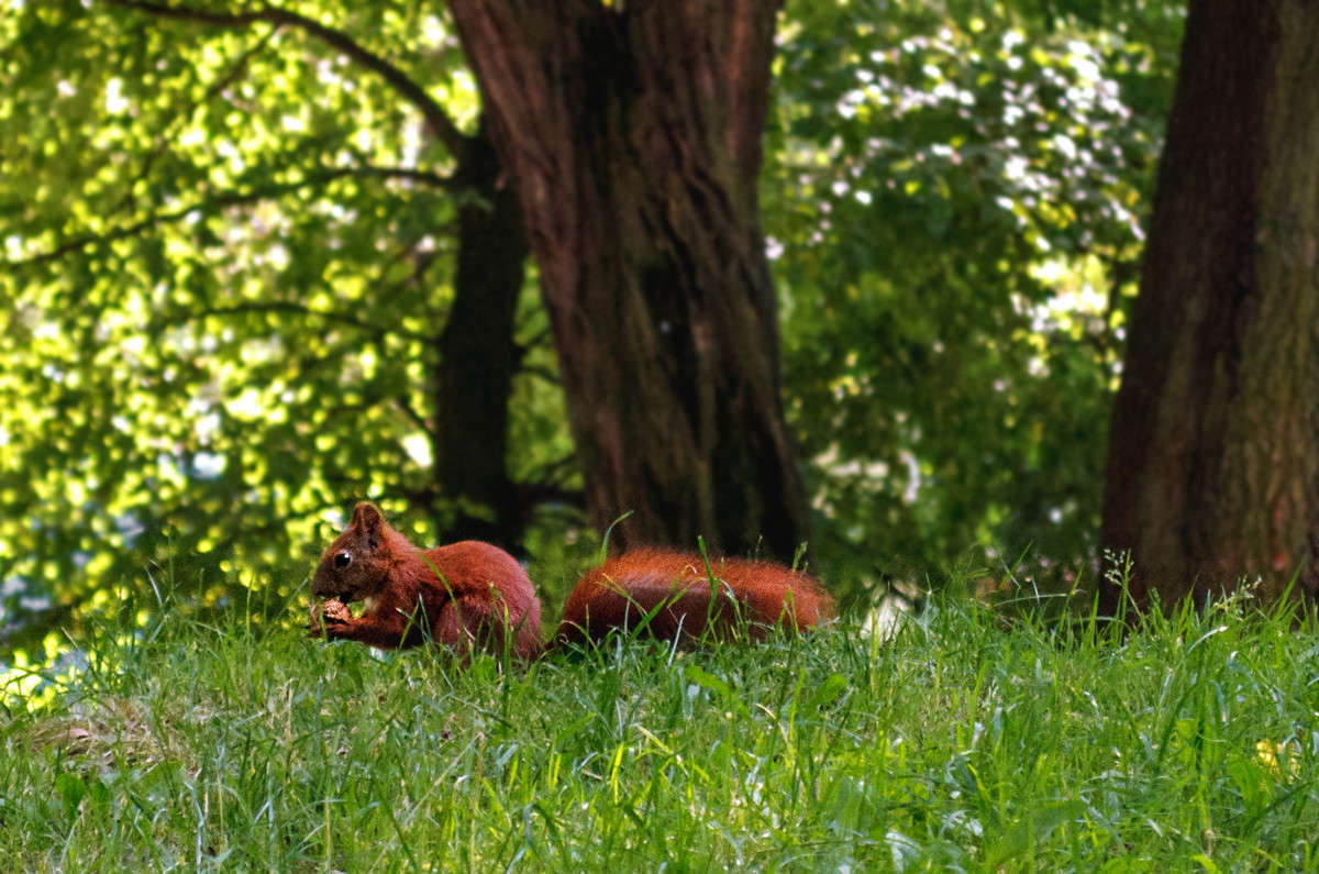 ��������� ���� �������... ����� ������ ���������� �� PhotoGeek.ru #�������� ��� #����� ��� ��� ���������