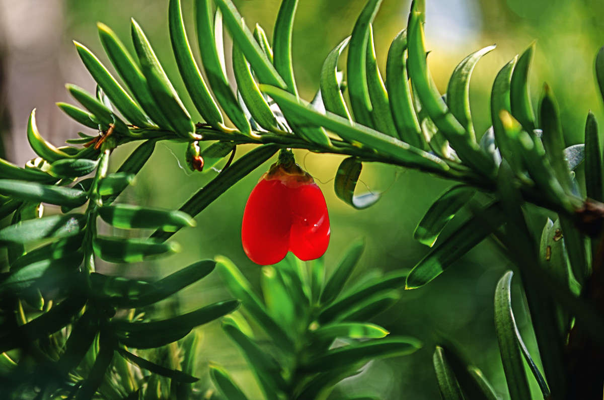 ))) ����� ������ ���������� �� PhotoGeek.ru #������ ��� ������� #���������