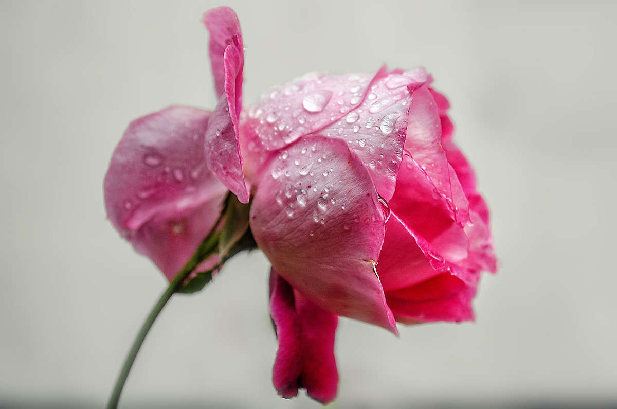 ����� �����.... ����� ������ ���������� �� PhotoGeek.ru #������ ��� ������� #����� �������������� #���������