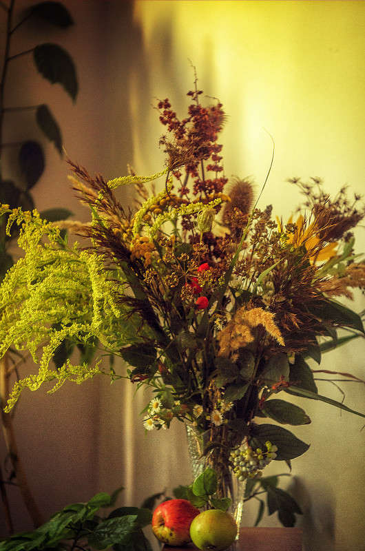 ����� �����, �� ������ ������.... ����� ������ ���������� �� PhotoGeek.ru #��������� #���������������