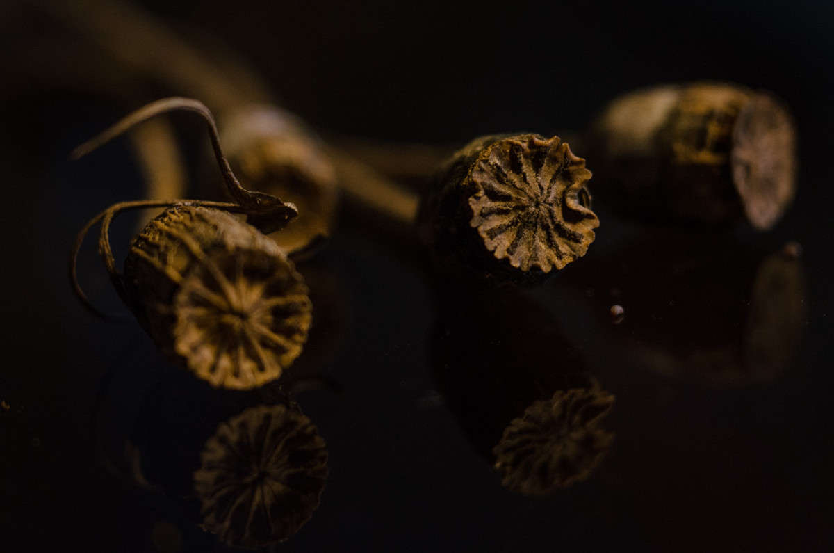 ))) ����� ������ ���������� �� PhotoGeek.ru #����� #����� ��������������