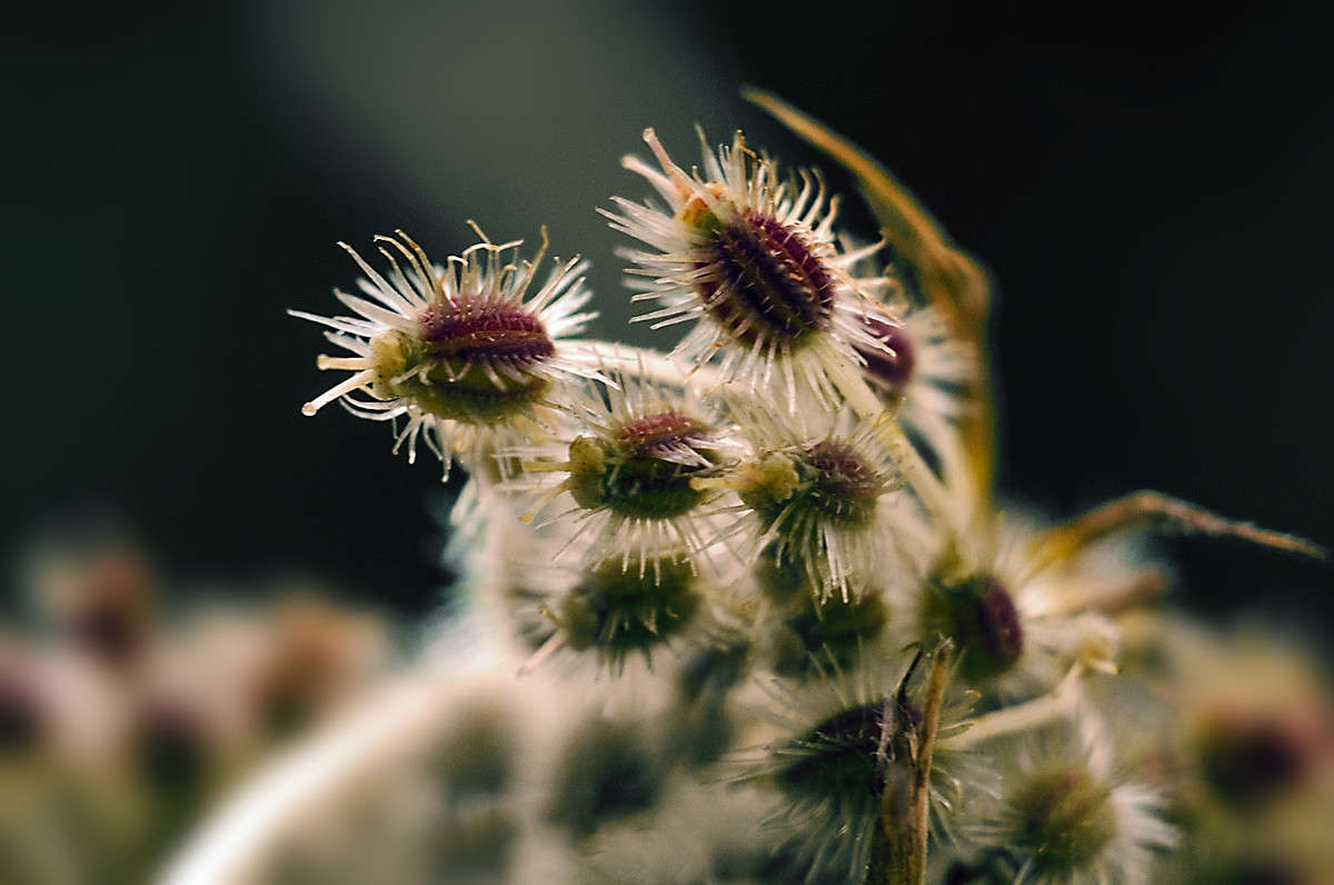 ))) ����� ������ ���������� �� PhotoGeek.ru #����� #������ ��� ������� #����� �������������� #���������