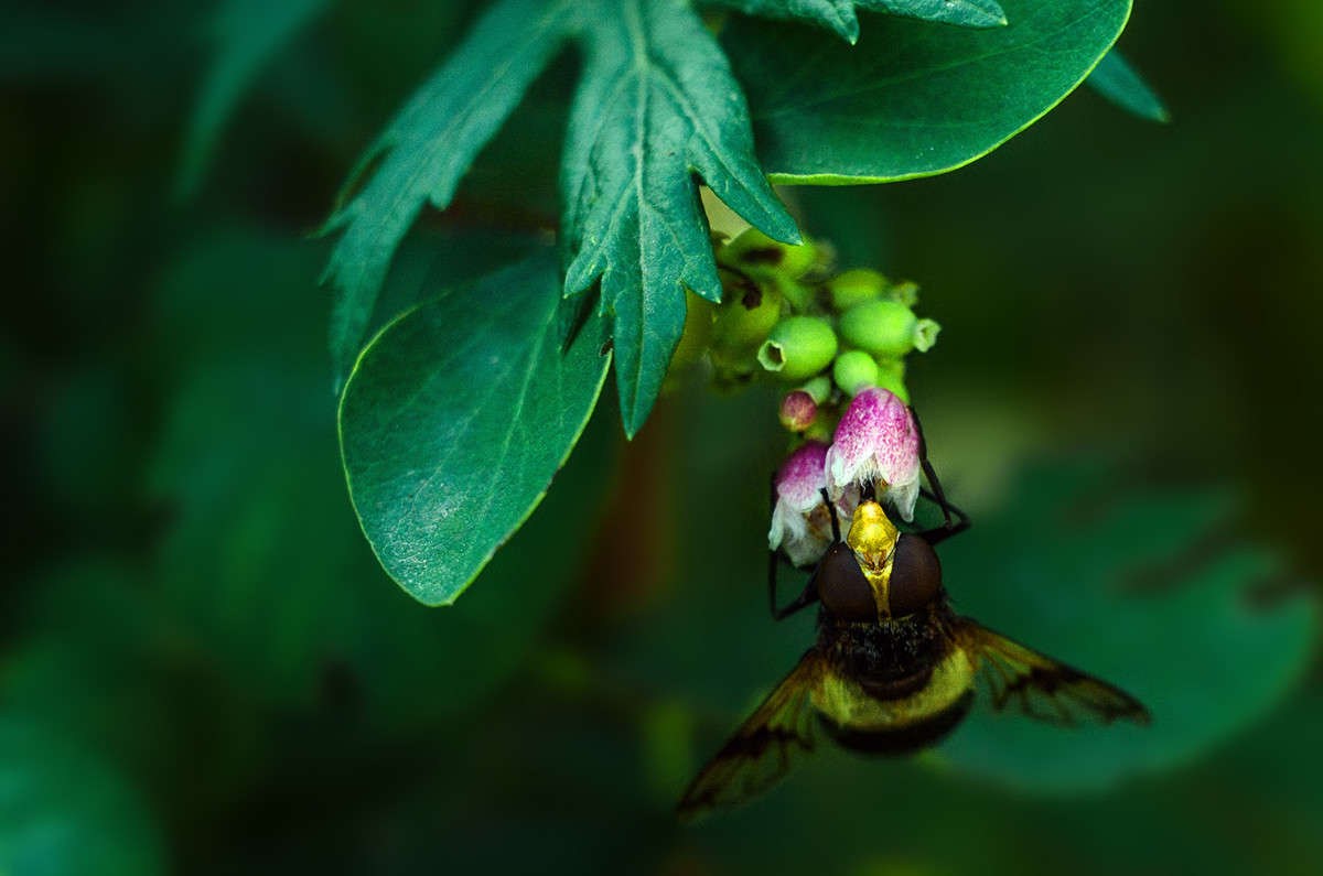 ������ 44-2 ����� ������ ���������� �� PhotoGeek.ru #������ ��� ������� #���������