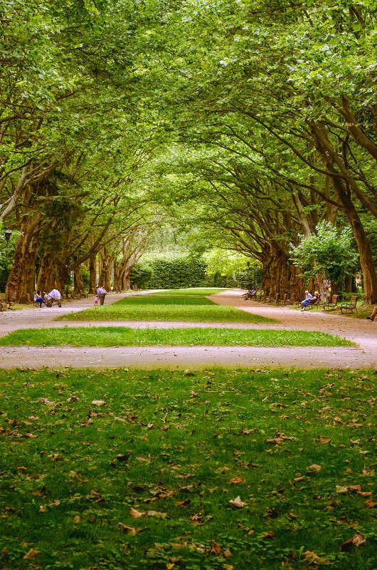 �����. ��������� ���� ����� ������ ���������� �� PhotoGeek.ru #������ ��� ������� #���������