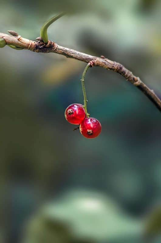 ���������� ������� ����� ������ ���������� �� PhotoGeek.ru #������ ��� ������� #���������