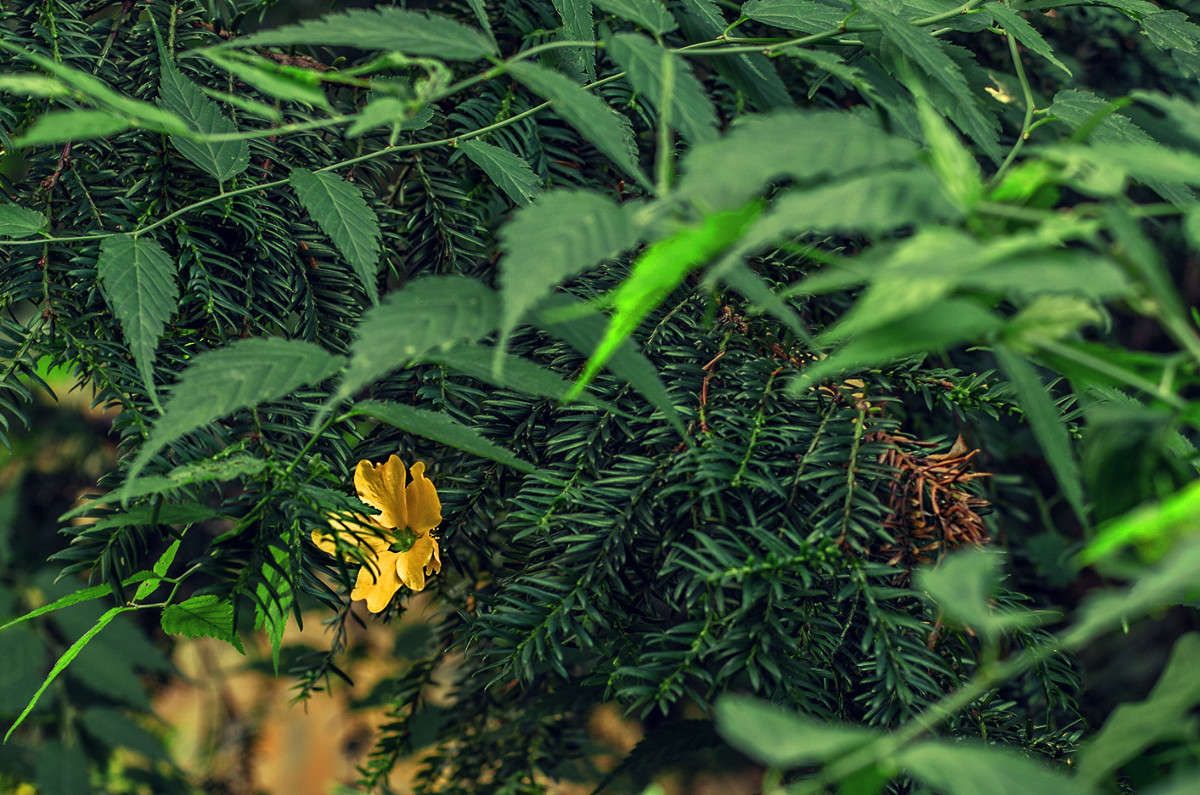 ������ �������!!!!!! ����� ������ ���������� �� PhotoGeek.ru #������ ��� ������� #���������