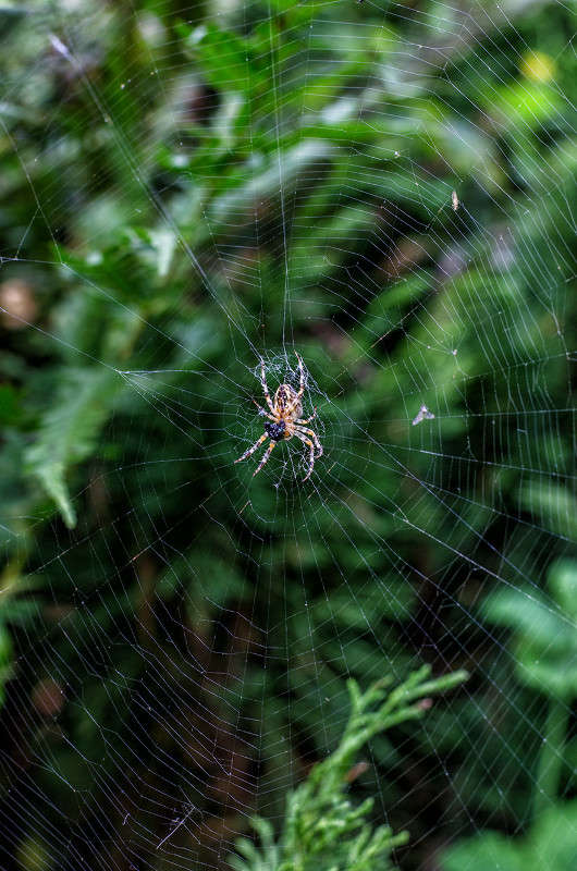 ))))) ����� ������ ���������� �� PhotoGeek.ru #������ ��� ������� #���������