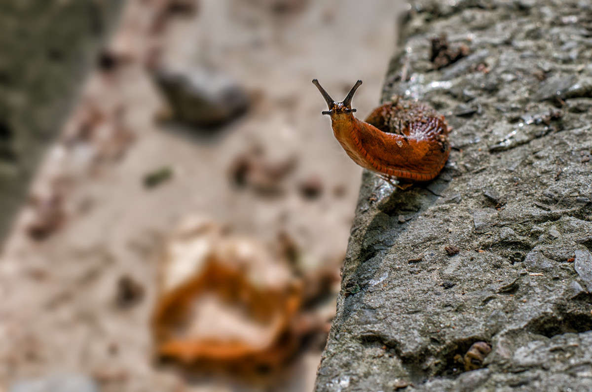 ��� ���?!!!!!! ����� ������ ���������� �� PhotoGeek.ru #������ ��� ������� #���������