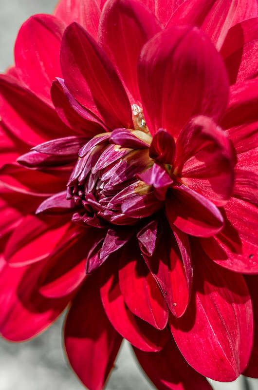 ������ ����� ������ ���������� �� PhotoGeek.ru #������ ��� ������� #����� ��������������