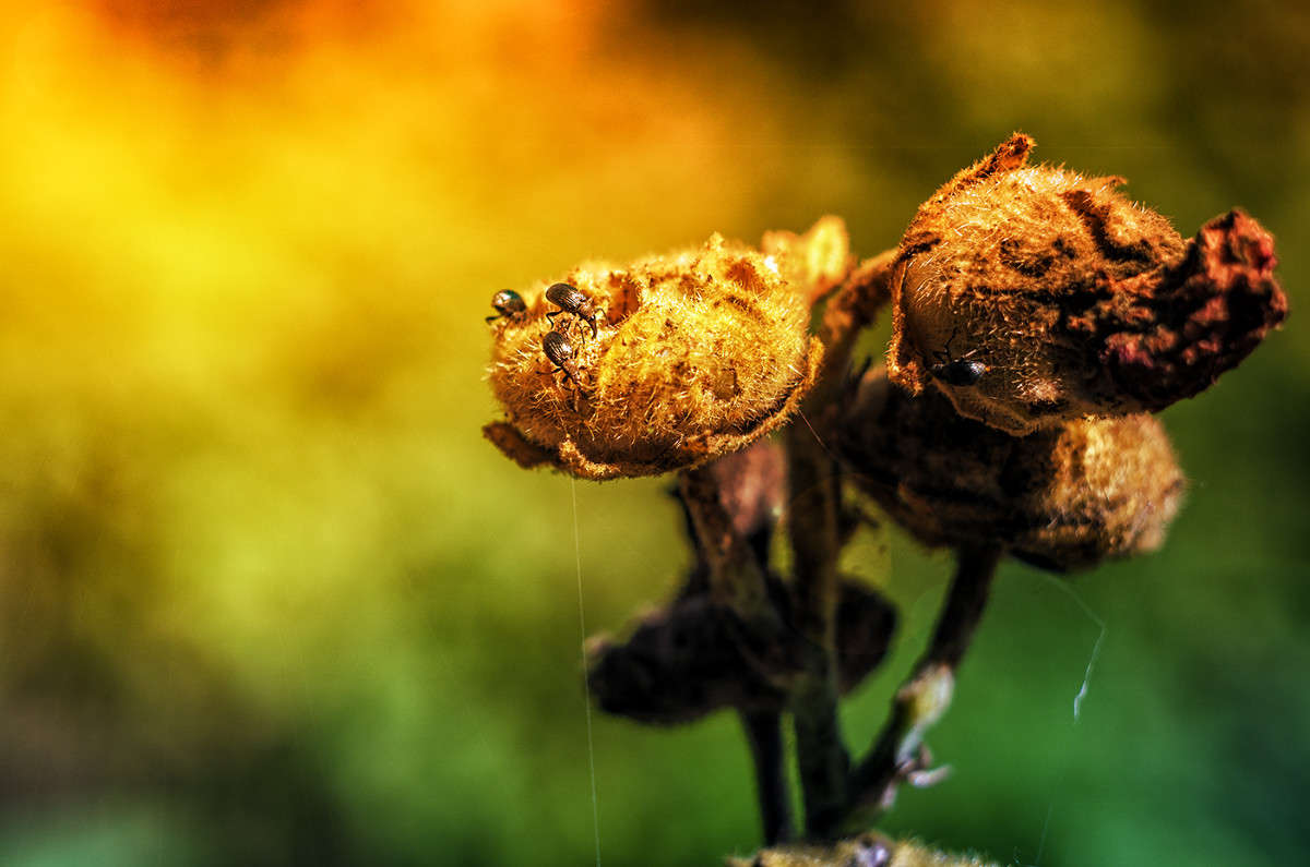 ))) ����� ������ ���������� �� PhotoGeek.ru #����� #������ ��� �������