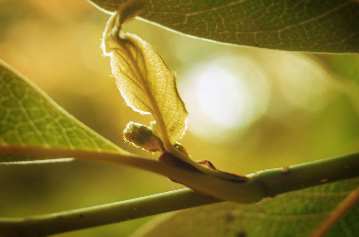 �������� ������ ����� ������ ���������� �� PhotoGeek.ru #������ ��� ������� #����� �������������� #���������