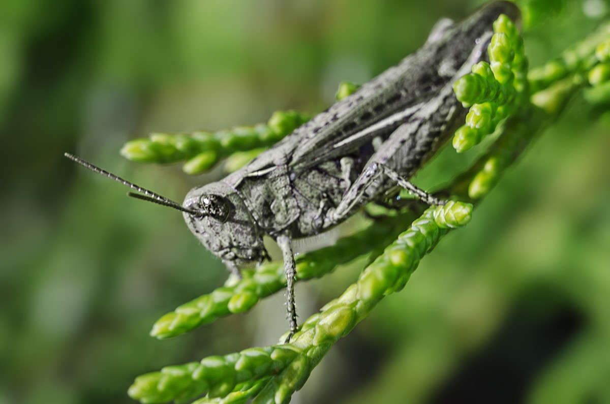 ����������� ����� ������ ���������� �� PhotoGeek.ru #����� #������ ��� ������� #���������