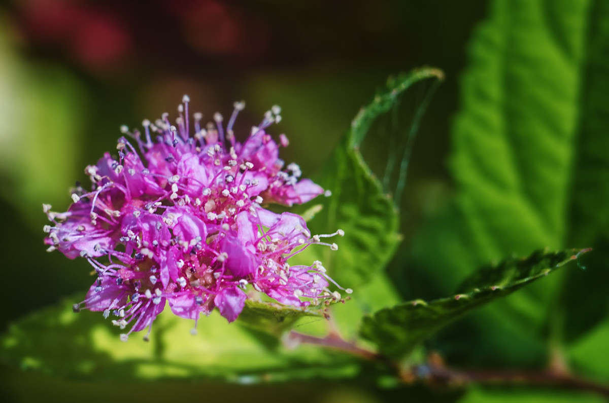 )))) ����� ������ ���������� �� PhotoGeek.ru #������ ��� ������� #���������