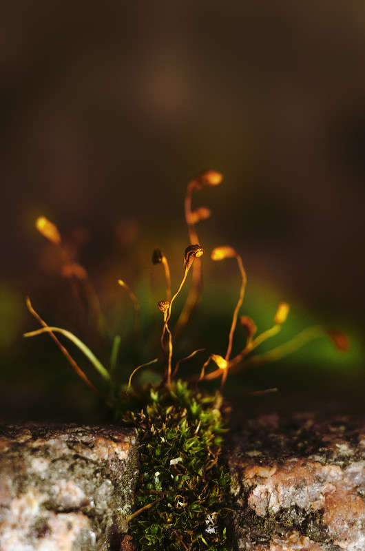 �������� ����� ������ ���������� �� PhotoGeek.ru #����� #����� ��������������