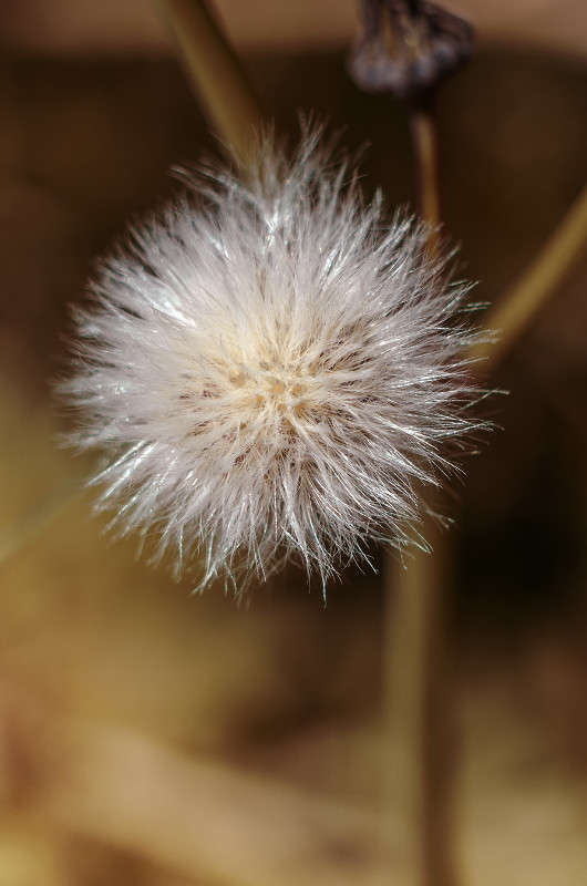 �������, ����� ��������� ����� ����� ������ ���������� �� PhotoGeek.ru #����� #����� ��������������