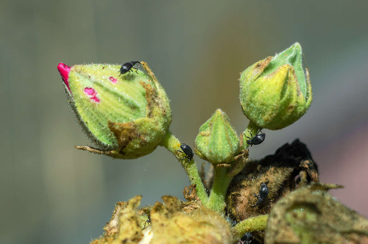 ))) ����� ������ ���������� �� PhotoGeek.ru #����� #����� ��������������