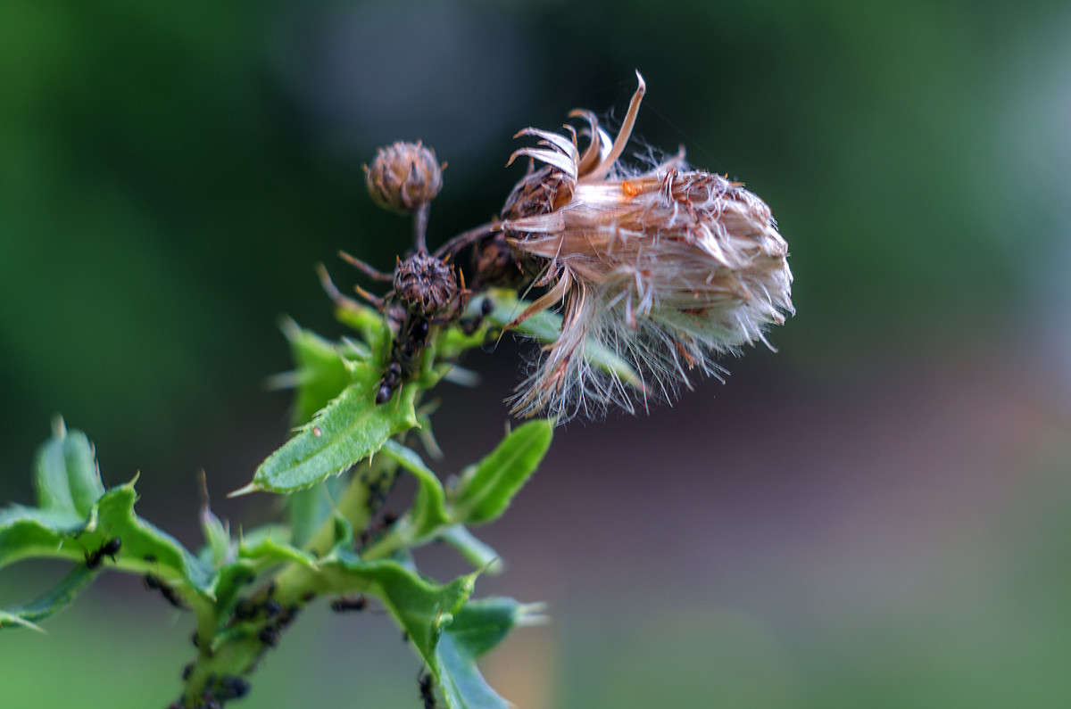 ))) ����� ������ ���������� �� PhotoGeek.ru #�����