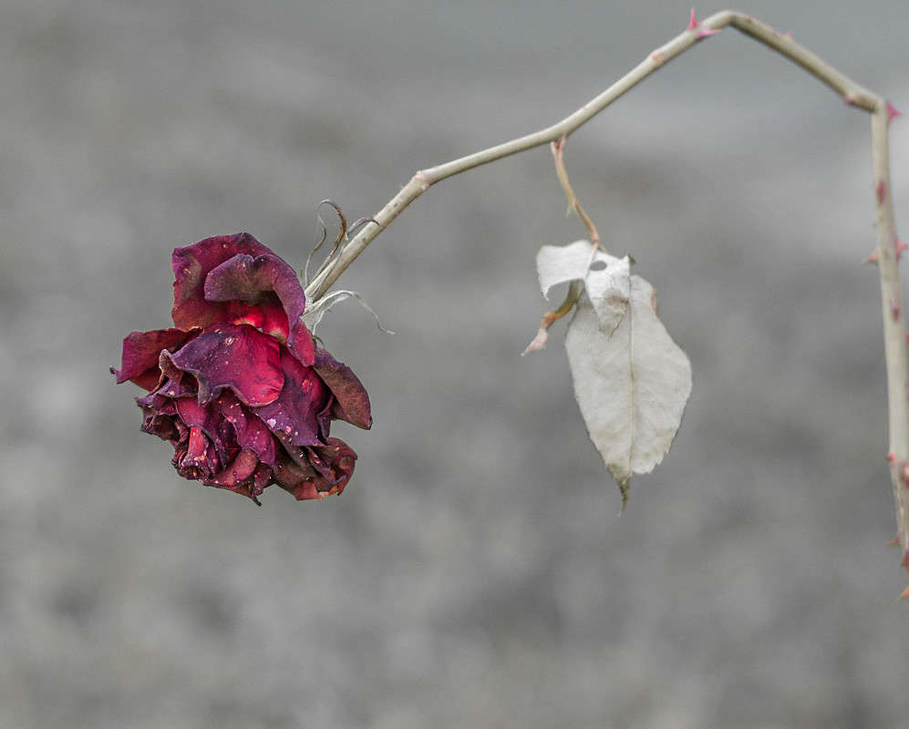 ))) ����� ������ ���������� �� PhotoGeek.ru #������ ��� ������� #���������