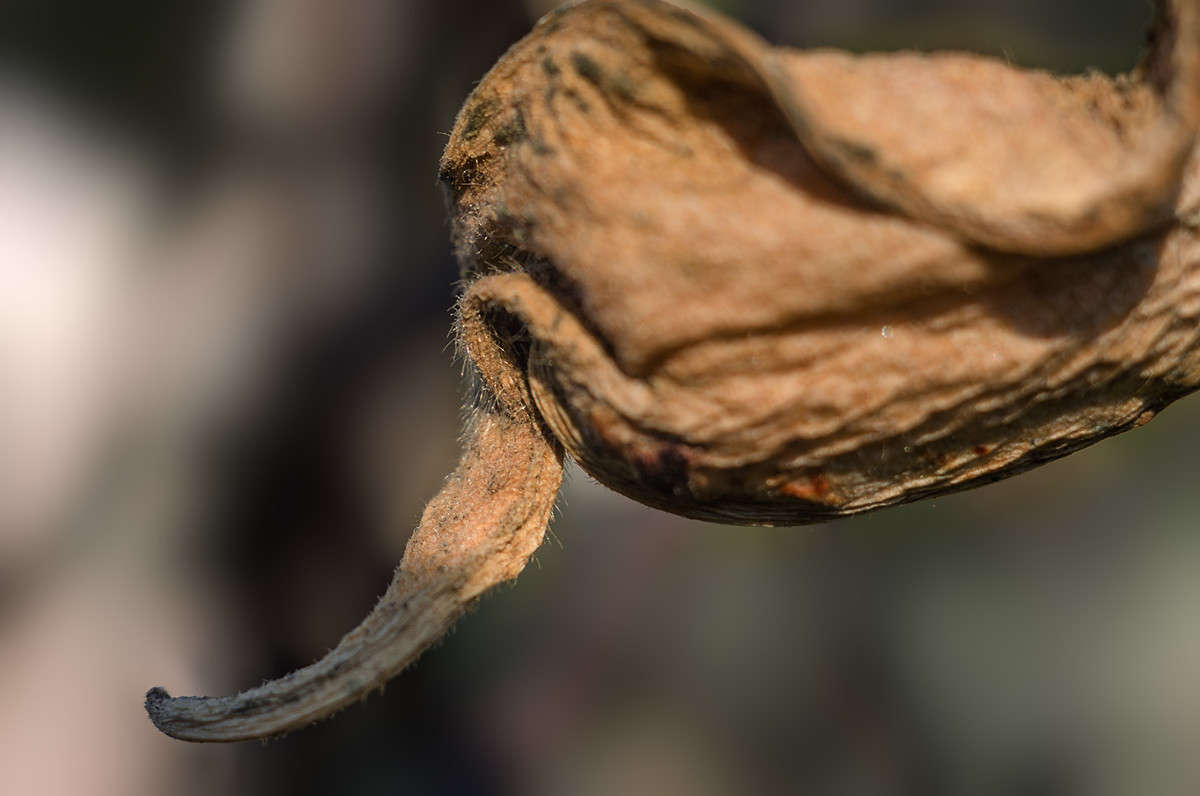 ))) ����� ������ ���������� �� PhotoGeek.ru #����� #������ ��� ������� #���������