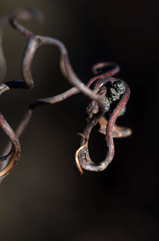 ))) ����� ������ ���������� �� PhotoGeek.ru #����� #������ ��� ������� #���������