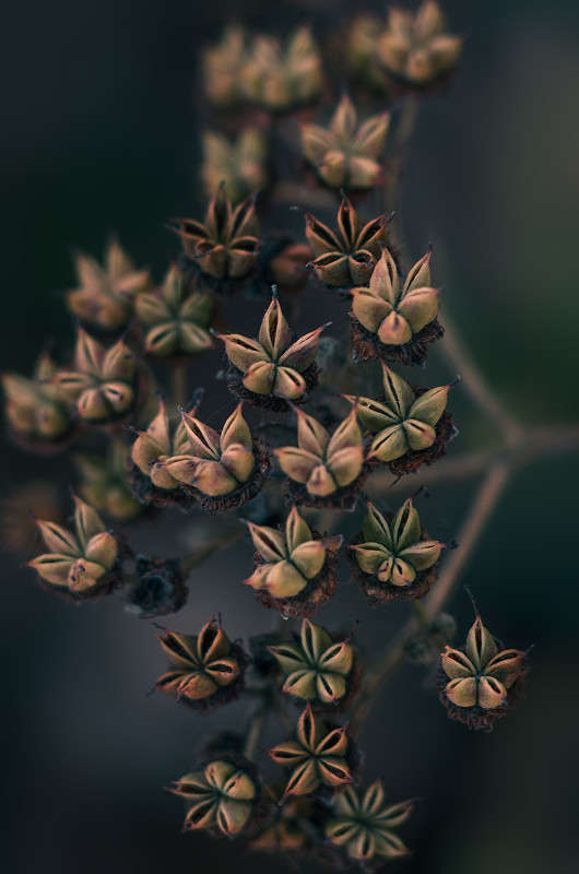 ))) ����� ������ ���������� �� PhotoGeek.ru #����� #������ ��� ������� #���������