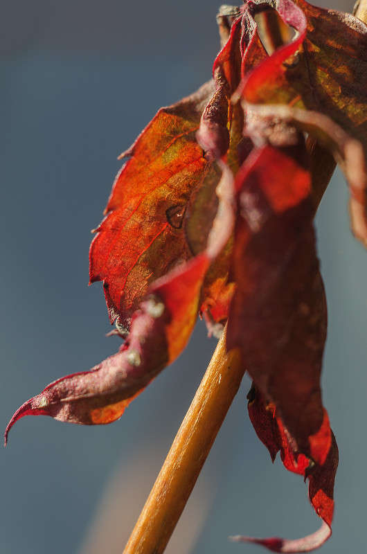 �������� ����� ������ ���������� �� PhotoGeek.ru #����� #������ ��� �������