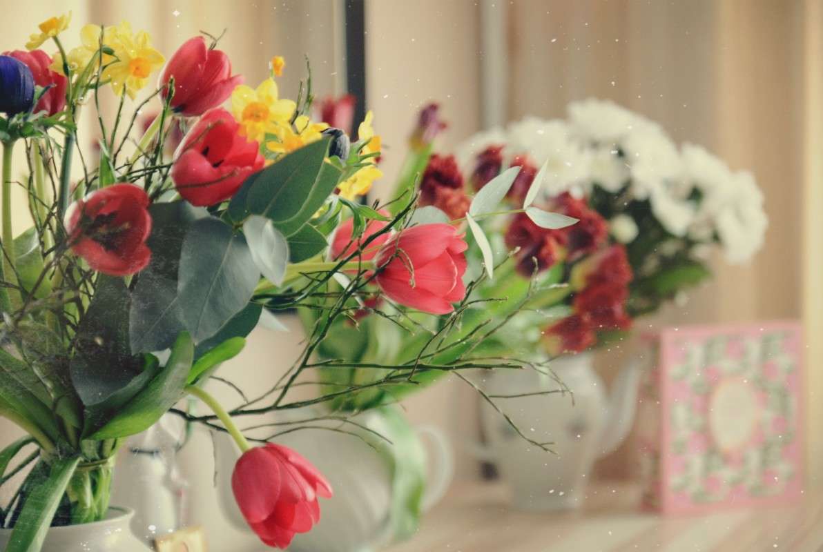 ... ����� ���� ��������� �� PhotoGeek.ru