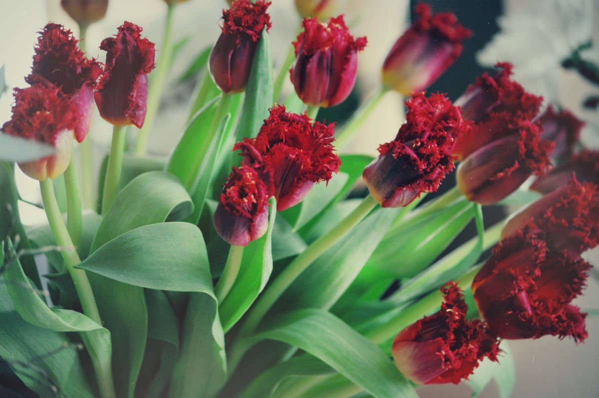 ... ����� ���� ��������� �� PhotoGeek.ru