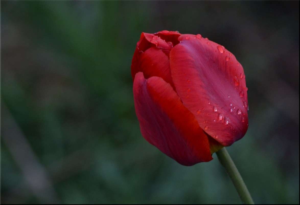 ... ����� ���� ��������� �� PhotoGeek.ru #������ ��� �������