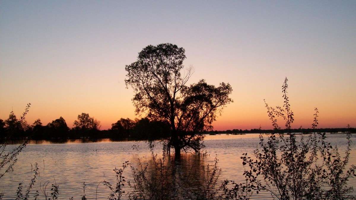 ����� ��  ������� �����   �� PhotoGeek.ru #������ ��� �������