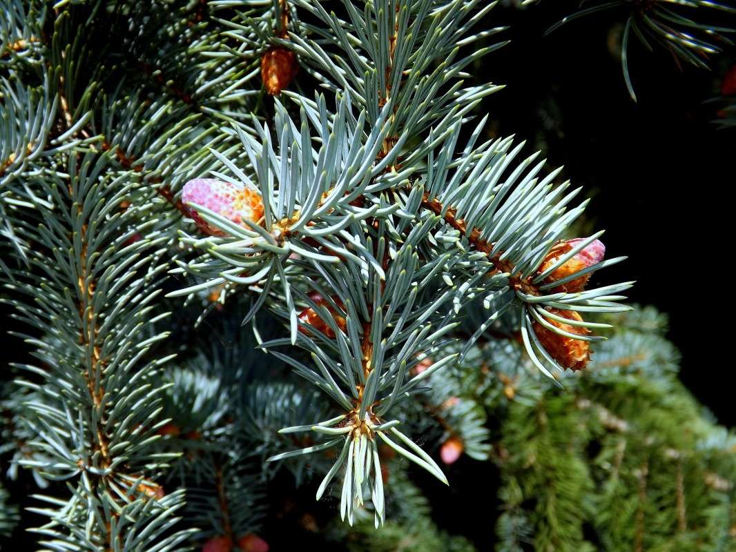 ��� �����   �� PhotoGeek.ru #������ ��� �������