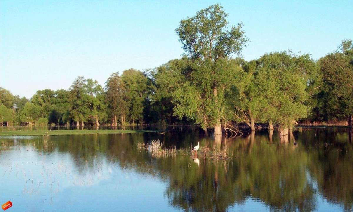 ����. �����. �����   �� PhotoGeek.ru #������ ��� �������