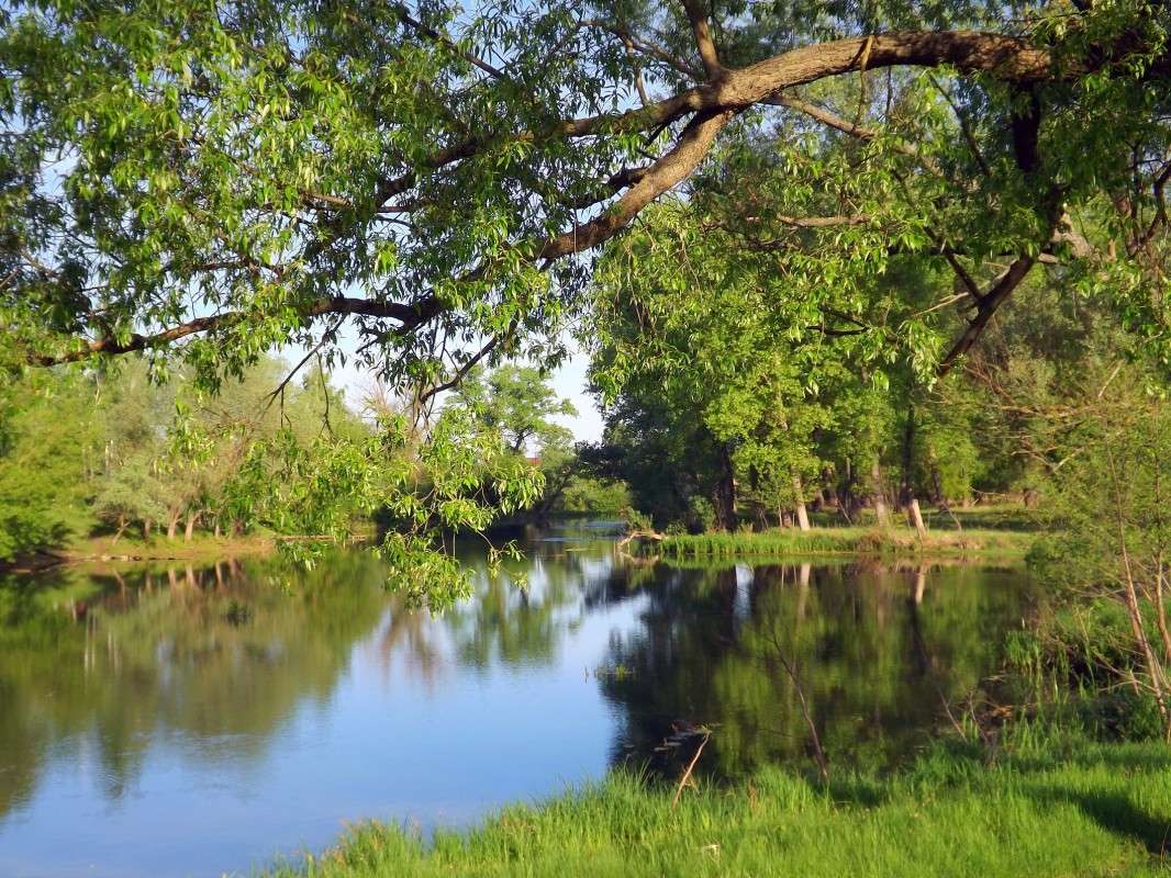 ������ �����   �� PhotoGeek.ru #������ ��� �������