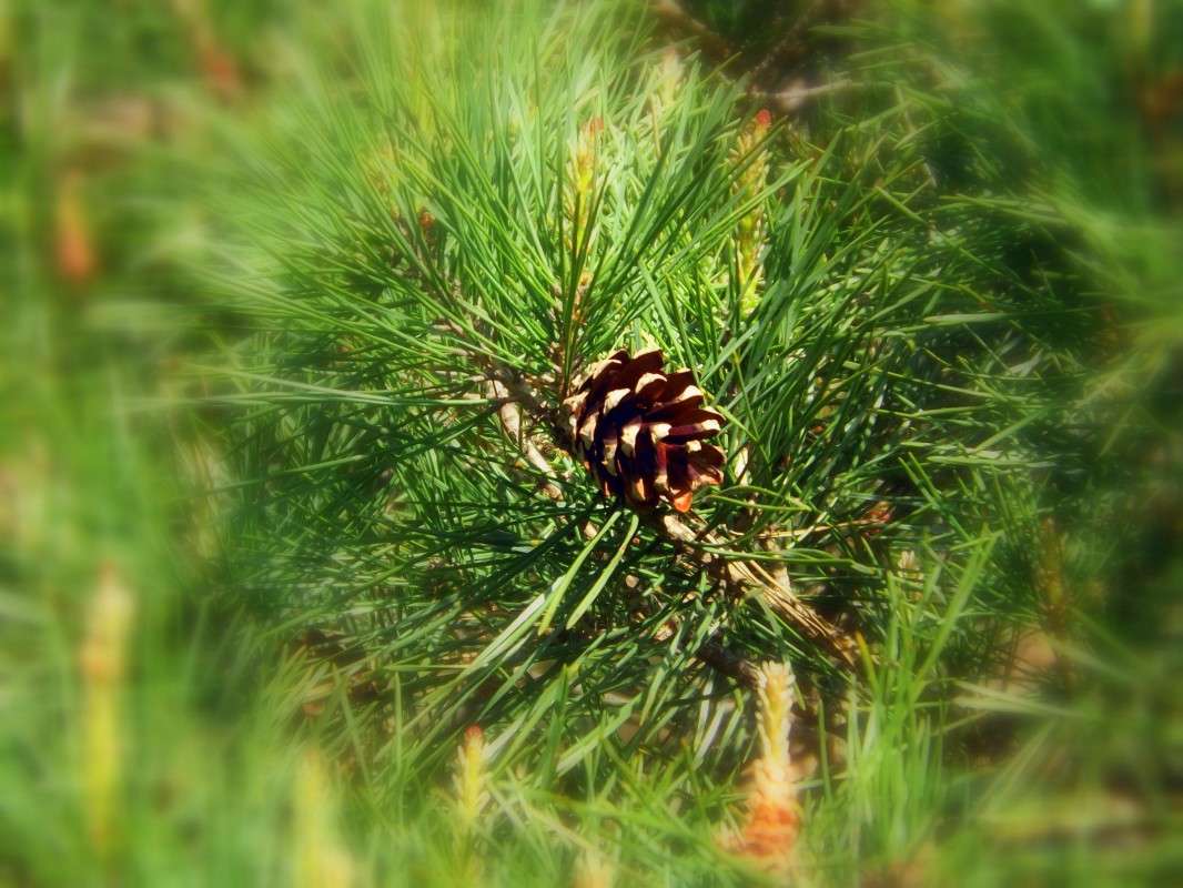 ... �����   �� PhotoGeek.ru #������ ��� �������