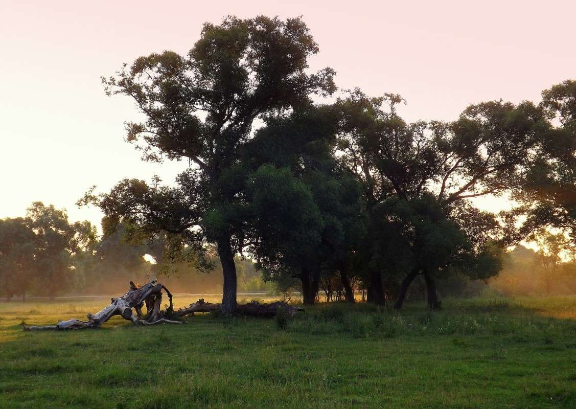 ���������� ����� �����   �� PhotoGeek.ru #������ ��� �������