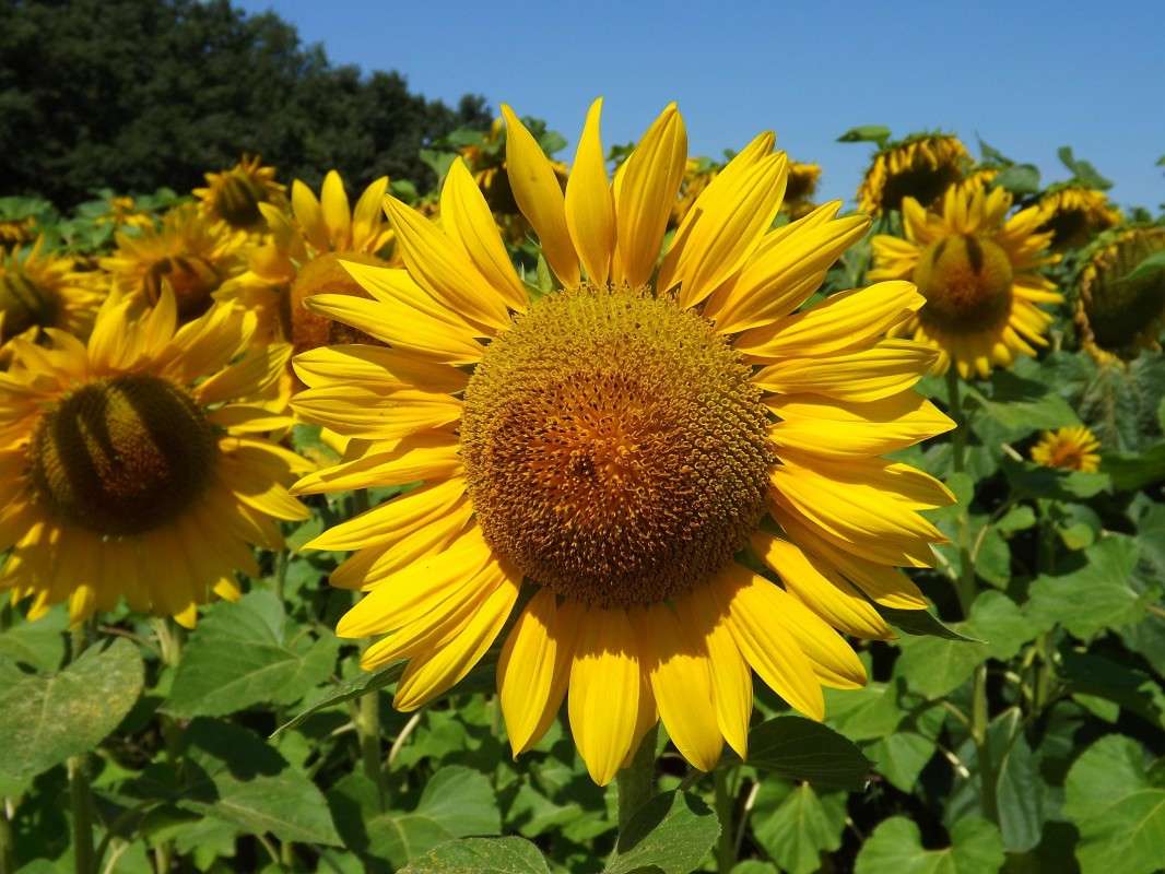 ... �����   �� PhotoGeek.ru #������ ��� �������