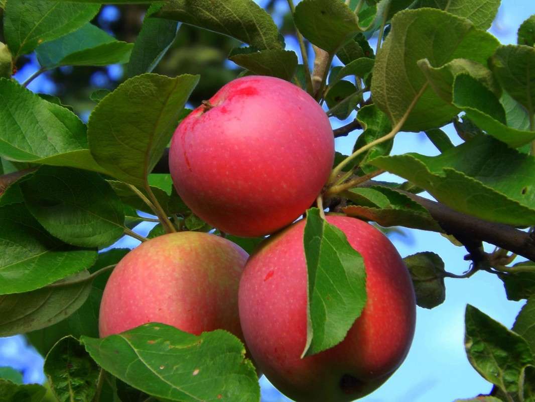 ��� ������. ����. ������ �����   �� PhotoGeek.ru #������ ��� �������