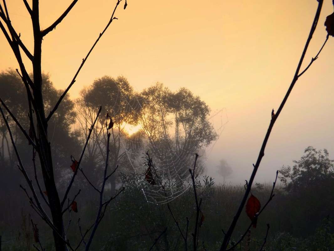 ... �����   �� PhotoGeek.ru #������ ��� �������