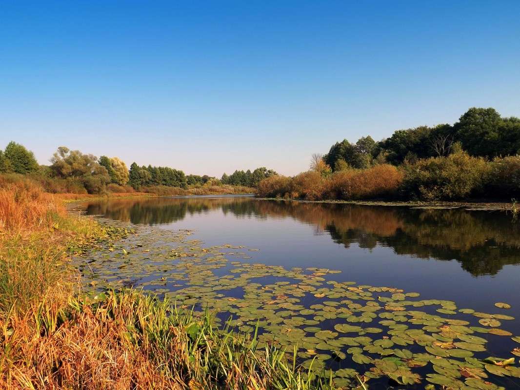 ... �����   �� PhotoGeek.ru #������ ��� �������