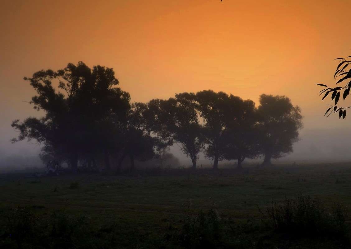 ... �����   �� PhotoGeek.ru #������ ��� �������