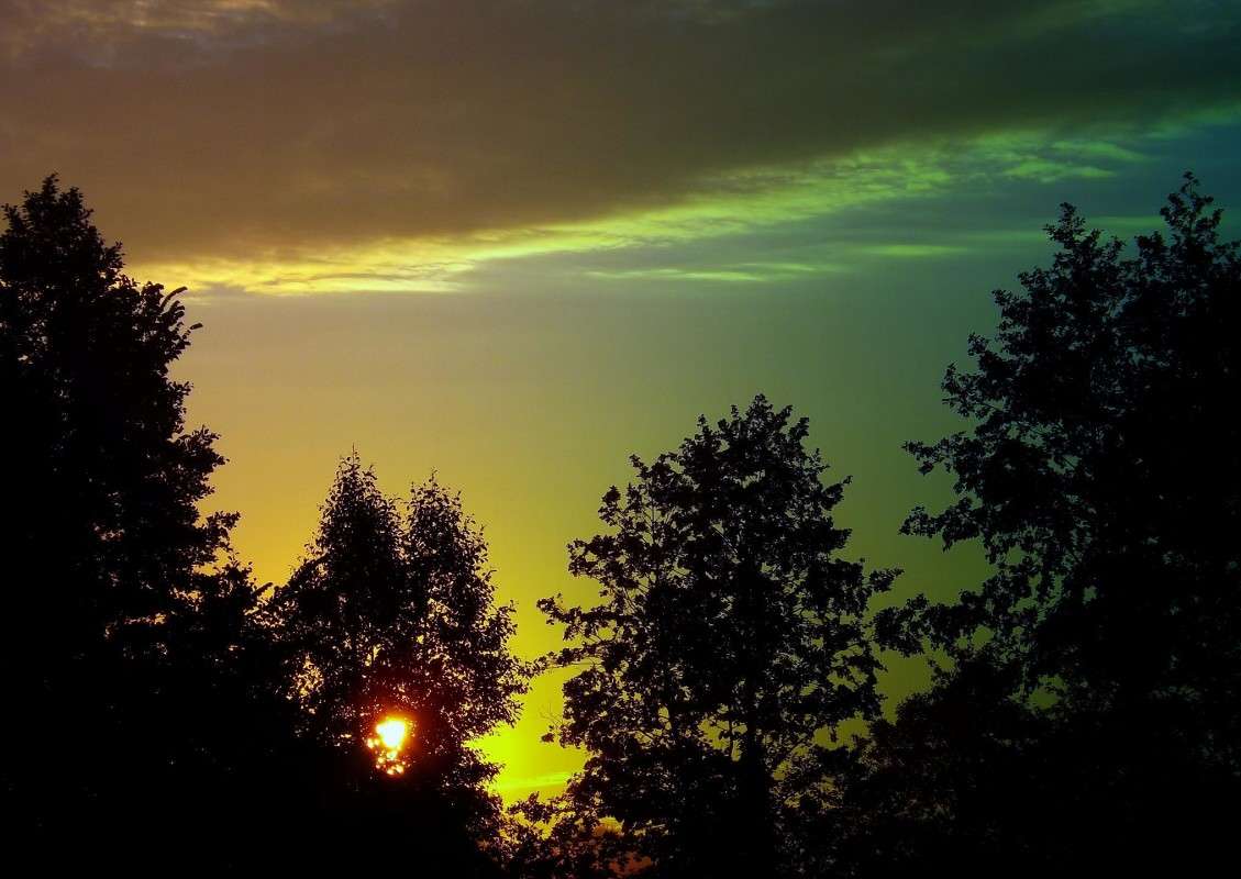 ... �����   �� PhotoGeek.ru #������ ��� �������