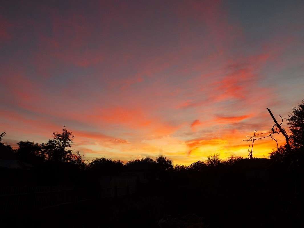 ... �����   �� PhotoGeek.ru #������ ��� �������