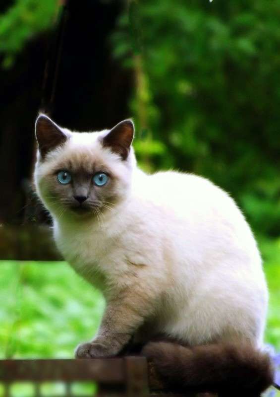 ... �����   �� PhotoGeek.ru #�������� ���