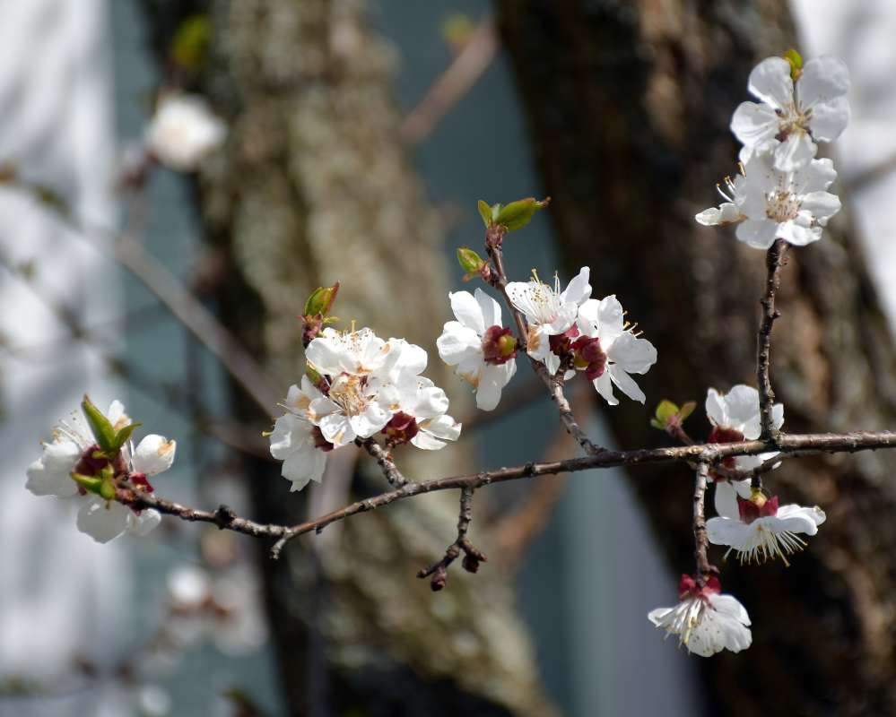 ... �����   �� PhotoGeek.ru #������ ��� �������