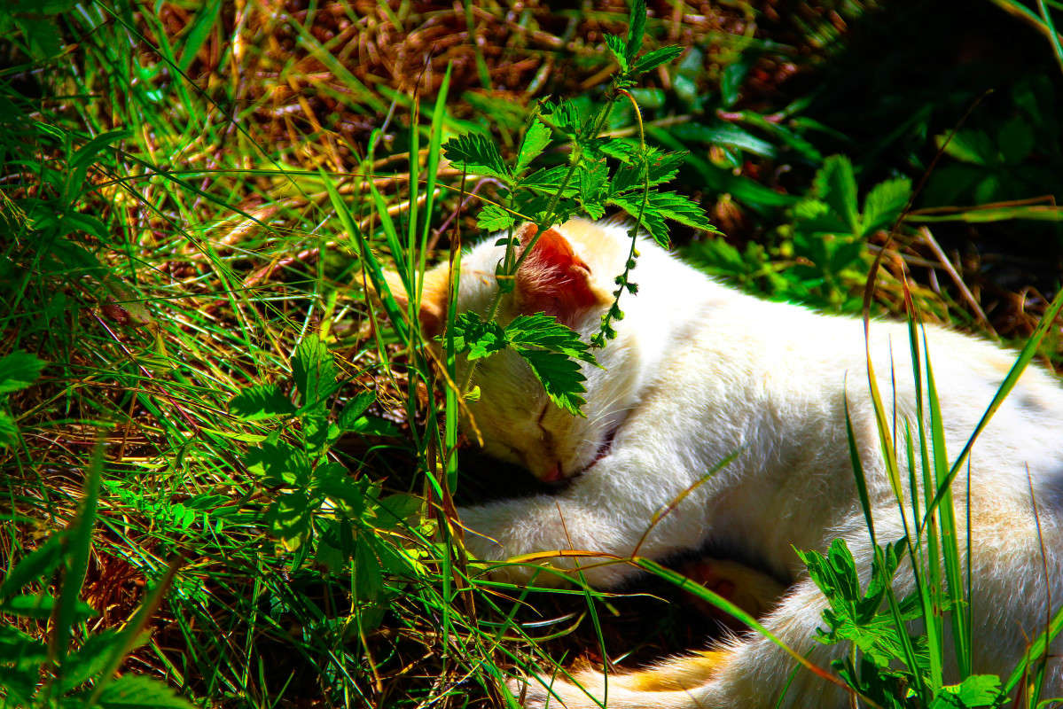 ... ����� Anastasia Aleksandrovna �� PhotoGeek.ru #�������� ���